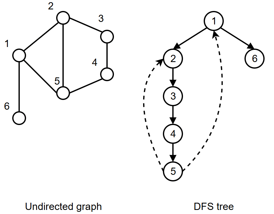The DFS tree of a graph.
